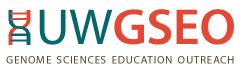 GSEO Logo